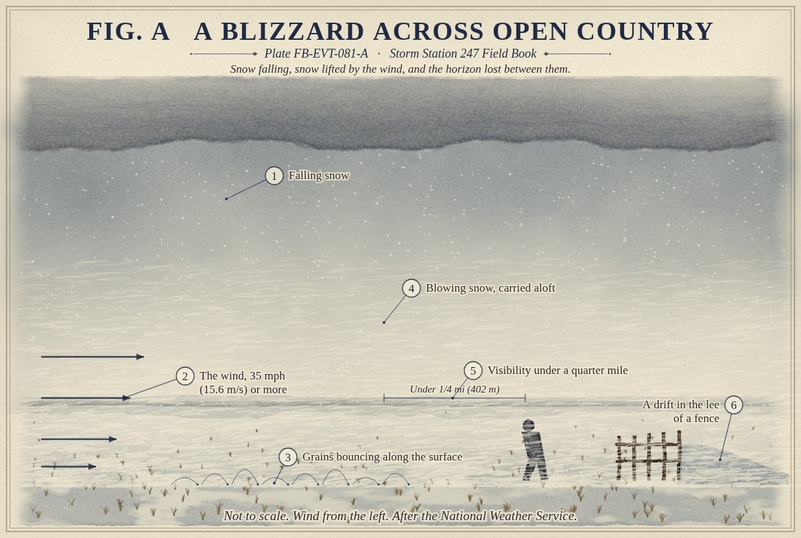 A painted section of a blizzard over snow covered open country, the wind from the left: a low grey snow cloud across the top; falling snow in white flecks through grey air; heavy arrows of wind near the ground, marked 35 mph (15.6 metres a second) or more; small arcs where grains bounce along the snow surface; streaks of blowing snow lifted from the ground and thinning upward, the far distance lost in white; a person leaning into the wind, with a bracket showing they can see less than a quarter of a mile (402 metres); and a wooden fence with a drift built up in its lee on the right.