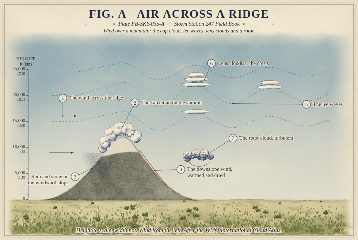 A painted section across a mountain ridge rising to 12,000 feet (3.7 kilometres), heights to scale from the ground to 29,500 feet (9 kilometres), the wind from the left: a cap cloud on the snowy summit, rain and snow on the windward slope, an arrow of the downslope wind in the lee, dashed streamlines rising over the ridge and waving downwind, smooth stacked lens clouds at the wave crests near 17,000 and 22,000 feet (5.2 and 6.7 kilometres), and a ragged rotor cloud turning beneath the first crest near 8,500 feet (2.6 kilometres).