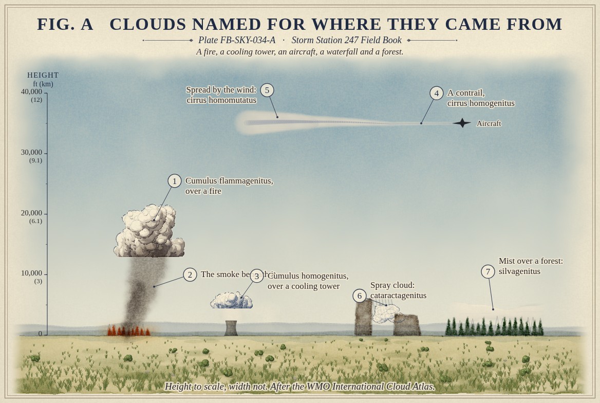 A painted section over a prairie, heights to scale from the ground to 43,000 feet (13 kilometres): a wildfire with orange flames and a grey brown smoke column rising to a smoke stained cumulus flammagenitus from about 13,000 to 21,000 feet (4 to 6.4 kilometres); a small cooling tower with steam rising into a small cumulus homogenitus near 5,000 feet (1.5 kilometres); an aircraft near 35,000 feet (10.7 kilometres) trailing a contrail that widens behind it into a broad sheet; a waterfall between two rock faces with a spray cloud at its foot; and a dark forest with a band of mist rising from it.