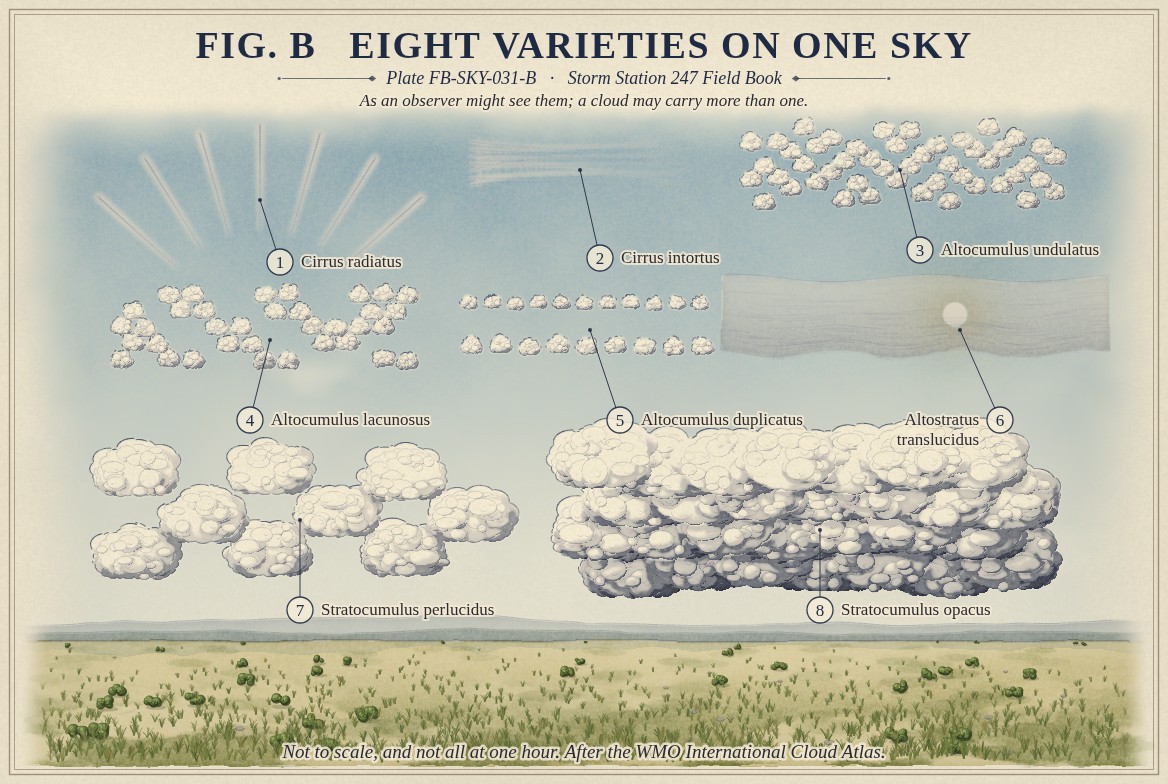 A painted sky, not to scale, with eight clouds numbered and named: high up, pale bands of cirrus radiatus spreading from low in the sky and tangled filaments of cirrus intortus; in the middle, rows of altocumulus undulatus in waves, altocumulus lacunosus as a net of cloudlets around holes of blue sky, altocumulus duplicatus in two rows at two heights, and a grey sheet of altostratus translucidus with the sun showing through it; low, stratocumulus perlucidus with sky between its rolls and a thick dark stratocumulus opacus.
