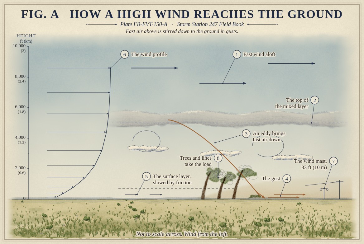 A painted section of a windy afternoon over open grassland, heights marked from the ground to 10,000 feet (3 kilometres), the wind from the left: a wind profile at the left whose arrows grow from short at the ground to long aloft; heavy arrows of fast wind above a torn, streaked deck of cloud at the top of the mixed layer near 5,000 feet (1.5 kilometres); open eddies turning below it; a rust coloured path bringing a parcel of fast air down to the ground, where it arrives as a gust; short slow arrows in the surface layer; three trees bent downwind, one losing a limb; dust blown along the ground; and a wind mast 33 feet (10 metres) tall beside a power pole.
