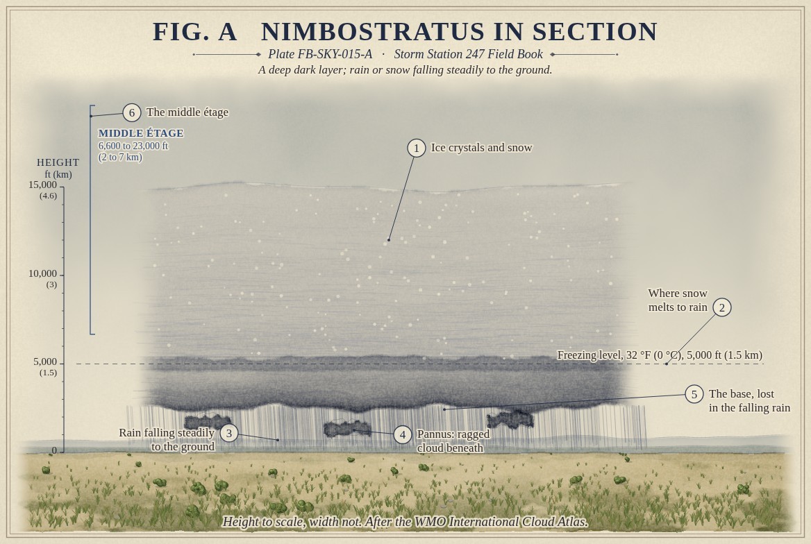 A painted section of nimbostratus over wet country, heights to scale from the ground to 20,000 feet (6 kilometres): a deep grey layer from a ragged base near 2,500 feet (0.8 kilometres) to a top near 15,000 feet (4.6 kilometres), paler above with flecks of snow, darker below the freezing level, marked at 5,000 feet (1.5 kilometres); rain falling steadily from the base to the ground across its whole width; and three ragged dark shreds of pannus beneath the base.