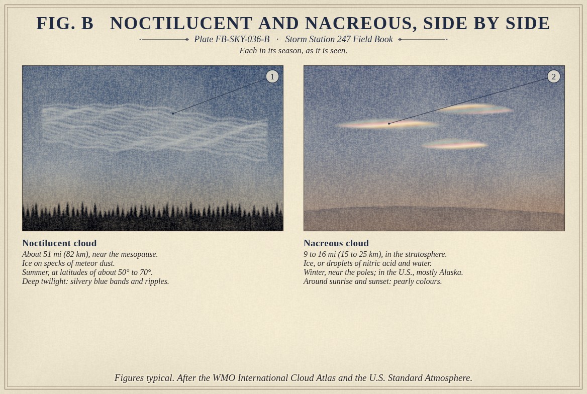 Two painted twilight skies side by side. On the left, noctilucent cloud: silvery blue rippled bands across a deep blue summer twilight above a dark line of trees. On the right, nacreous cloud: pearly lenses banded pink, green, blue and gold in an orange winter twilight over snow. Beneath each, its height, what it is made of, its season and where, and when and how it is seen.