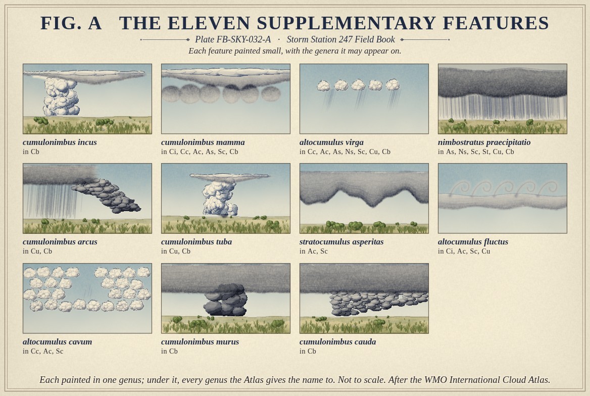 Small paintings of the 11 supplementary features of the International Cloud Atlas, each painted in one genus and labelled with its full name, with every genus the Atlas gives it to beneath: cumulonimbus incus, in cumulonimbus; cumulonimbus mamma, in cirrus, cirrocumulus, altocumulus, altostratus, stratocumulus and cumulonimbus; altocumulus virga, in cirrocumulus, altocumulus, altostratus, nimbostratus, stratocumulus, cumulus and cumulonimbus; nimbostratus praecipitatio, in altostratus, nimbostratus, stratocumulus, stratus, cumulus and cumulonimbus; cumulonimbus arcus, in cumulus and cumulonimbus; cumulonimbus tuba, in cumulus and cumulonimbus; stratocumulus asperitas, in altocumulus and stratocumulus; altocumulus fluctus, in cirrus, altocumulus, stratocumulus and cumulus; altocumulus cavum, in cirrocumulus, altocumulus and stratocumulus; cumulonimbus murus, in cumulonimbus; cumulonimbus cauda, in cumulonimbus.