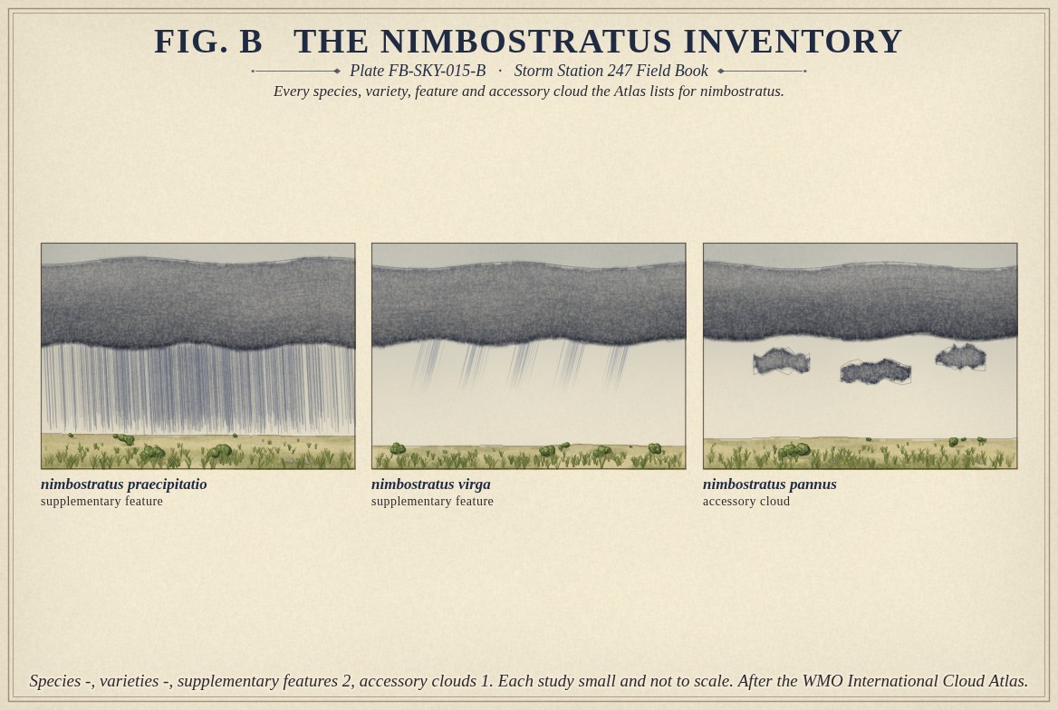 Small paintings of nimbostratus, one for every name the International Cloud Atlas lists for it, each labelled with its full name and its rank: the supplementary features praecipitatio and virga, and the accessory cloud pannus; with the count of each rank beneath, a hyphen where the Atlas gives none.