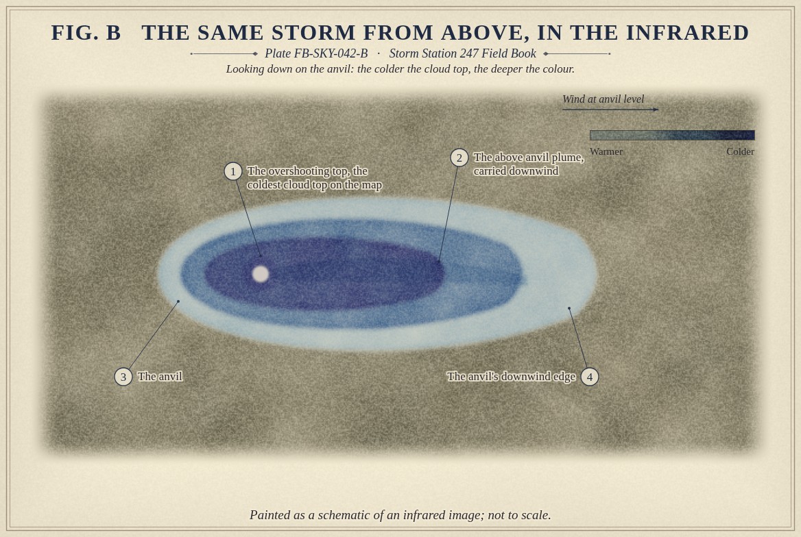 A painted plan of a thunderstorm seen from above, as a schematic of an infrared image: the anvil as a long oval spread downwind to the right over grey brown ground, pale blue at its edge, deeper blue within and violet at its colder core; a small bright bubble of overshooting top near its upwind end; a pale plume streaming downwind from it above the anvil; an arrow of the wind at anvil level; and a key from warmer to colder.