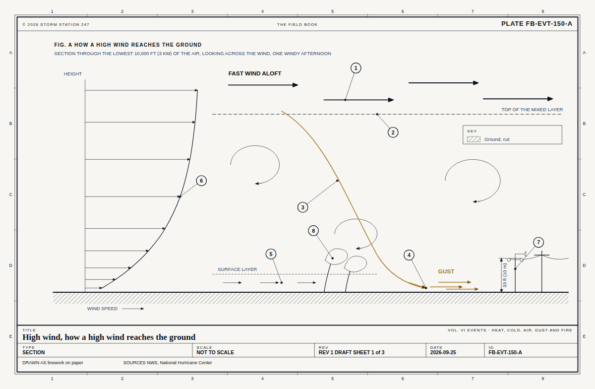 Section through the lowest few thousand feet of a windy afternoon: fast wind at the top of the mixed layer; the mixed layer's top, below which the air is stirred; an eddy bringing a parcel of fast air down; the gust it makes where it reaches the ground; the surface layer, slowed by the friction of the ground; the wind profile at the left, slow at the ground and fast aloft; a wind mast 33 feet (10 metres) tall measuring it; and trees and power lines taking the load.